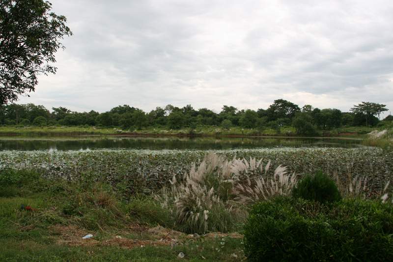 India & Nepal 2011 - 0646